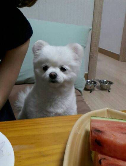 ???: 야야 그거 한입 먹는다고 죽냐 ㅋㅋㅋ | 인스티즈