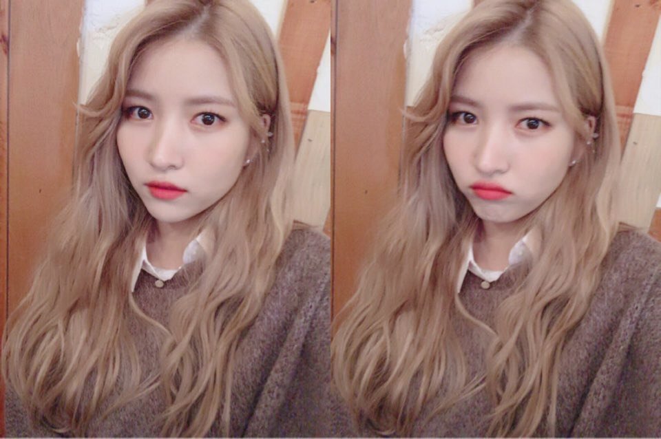 533번째 하루 한번 여자친구 소원 | 인스티즈