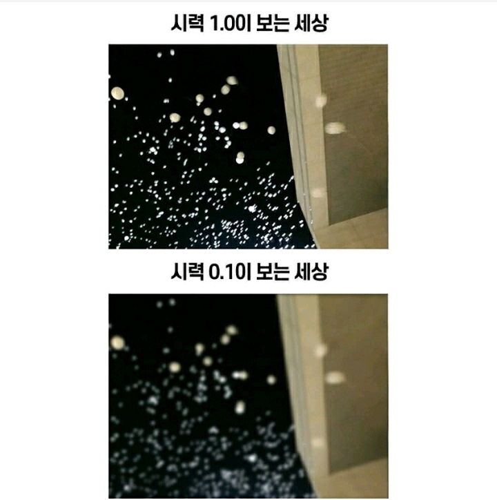 시력 1.0과 0.1의 차이 | 인스티즈