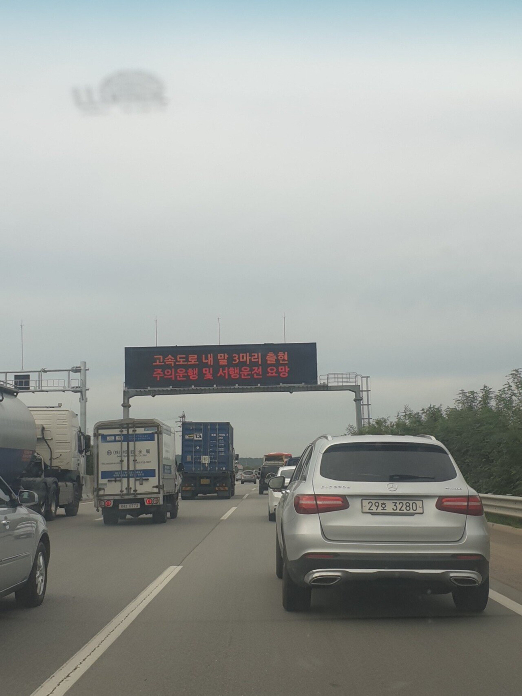 고속도로에서 멋대로 갓길주행하는 머스탱 | 인스티즈