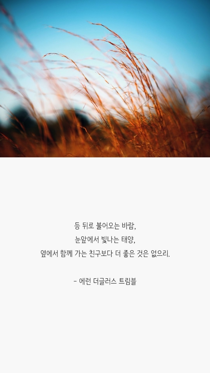 친구에 대한 명언 | 인스티즈