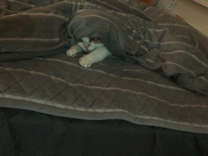 와이프랑 호들갑 .kakao | 인스티즈