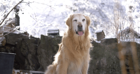 시네마그래프 짤 | 인스티즈