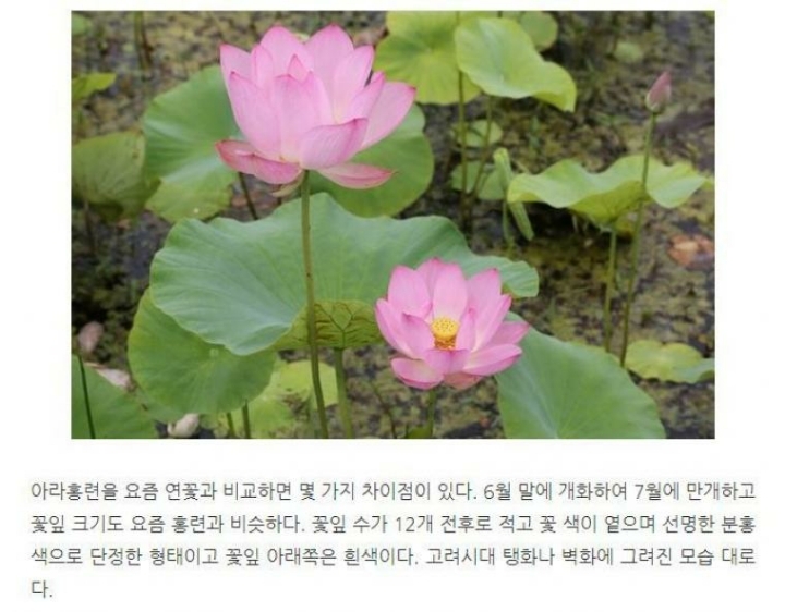 700년이나 기다렸다 아 | 인스티즈