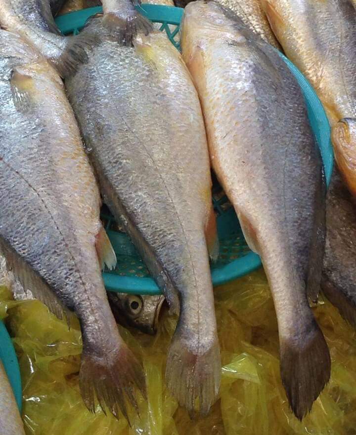 사장님 저 밑에 있어요 | 인스티즈