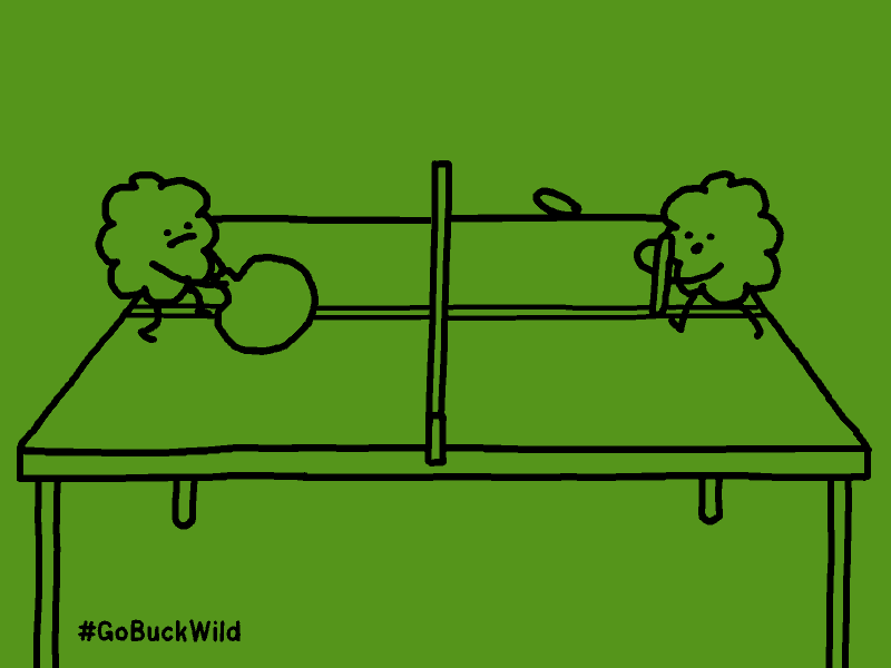 팝콘과 도리토스.gif | 인스티즈