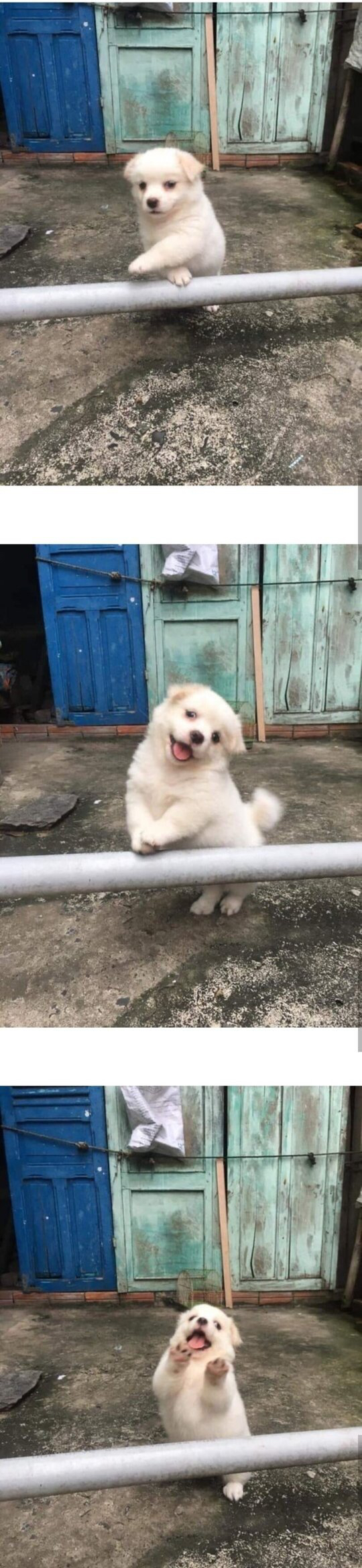 인절미가 몸에 해로운 이유 | 인스티즈