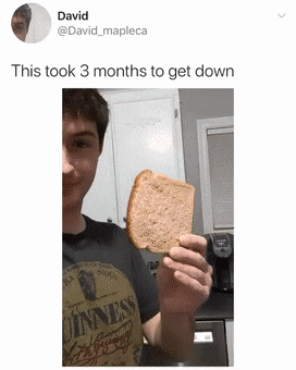 빵던지기 달인 🍞 | 인스티즈