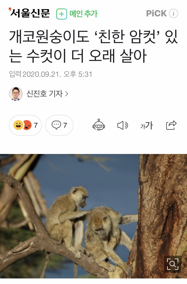 대한민국 최대 요절, 단명 커뮤니티 | 인스티즈