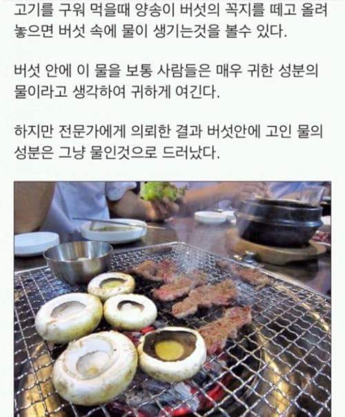 양송이 버섯안에 생기는 물은 무엇일까 .JPG | 인스티즈