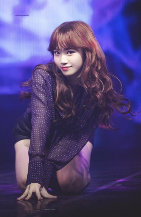 더쿠 사쿠라의 아이즈원 소개 | 인스티즈