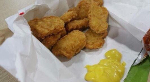 웃대 호쌍새 모음 | 인스티즈