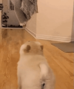 점프하다가 죽음 | 인스티즈