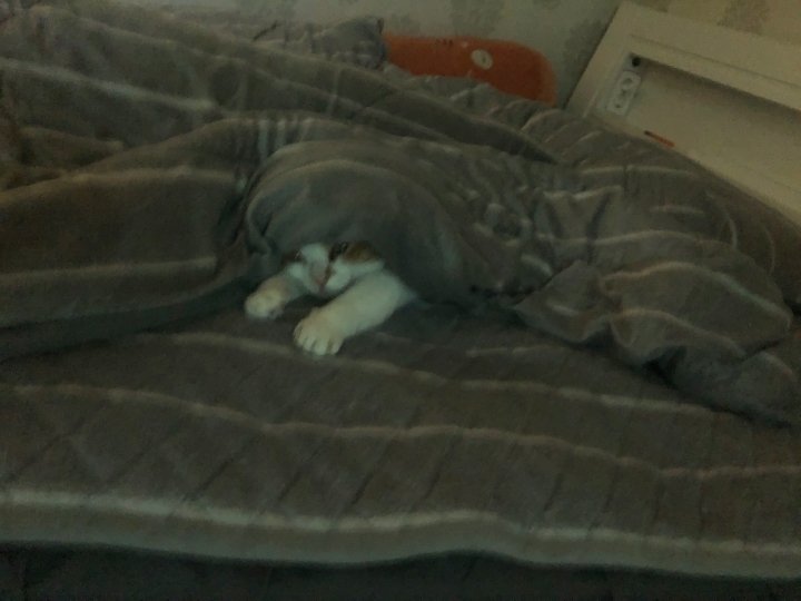 와이프랑 호들갑 .kakao | 인스티즈