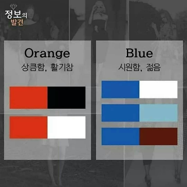 옷 입을 때 베스트 컬러 조합 | 인스티즈