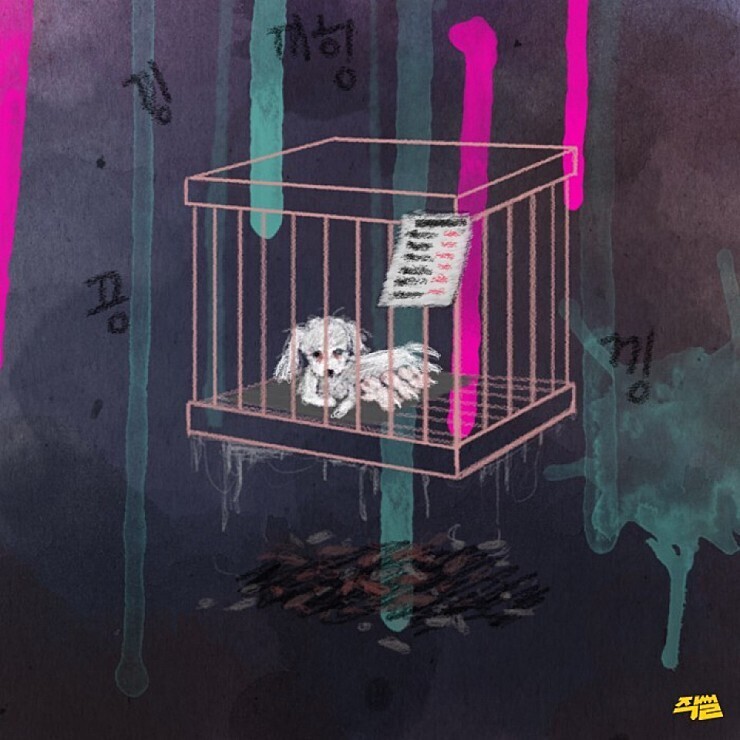 애견샵의 불편한 진실.jpg | 인스티즈