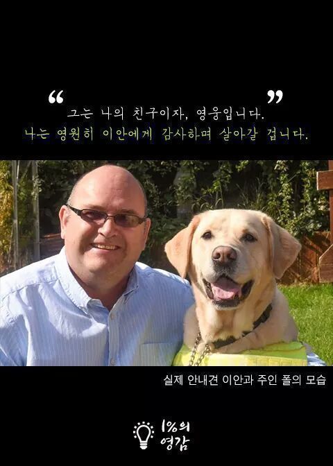 안내견이 짖은이유 | 인스티즈