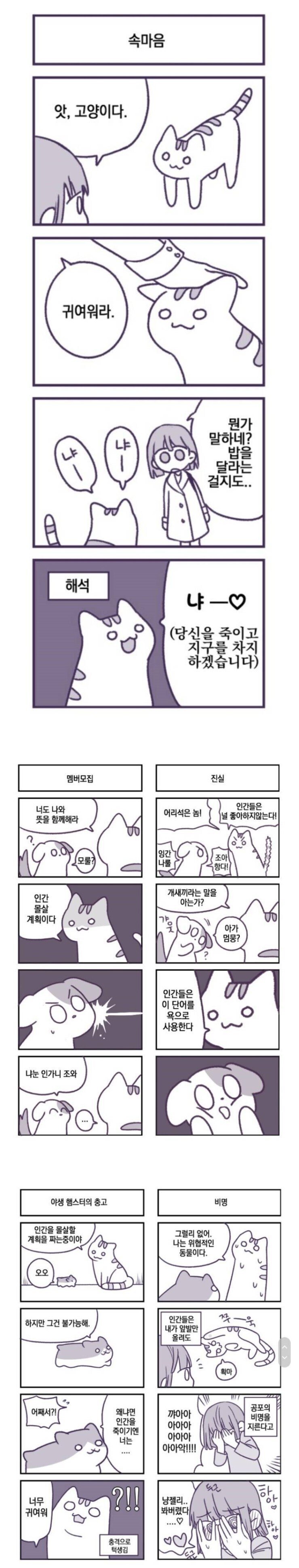 사악한 고양이.manhwa | 인스티즈