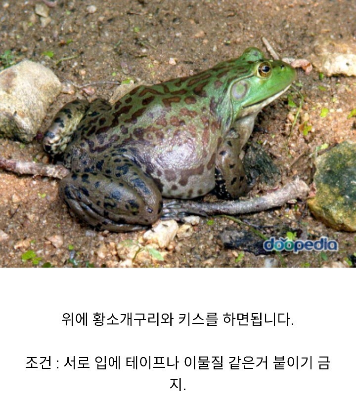 1초당 100원이면 키스한다vs안한다 | 인스티즈