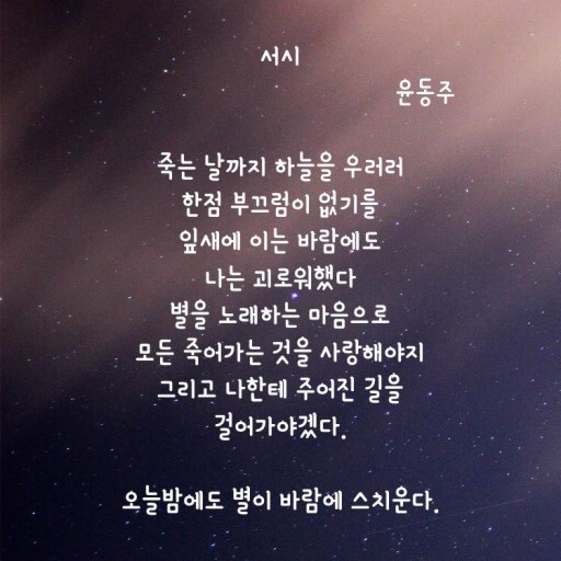 별을 노래하는 마음으로 모든 죽어가는 것을 사랑해야지 | 인스티즈