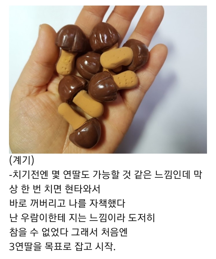 두 시간 동안 5연딸 성공했던 후기.jpg | 인스티즈