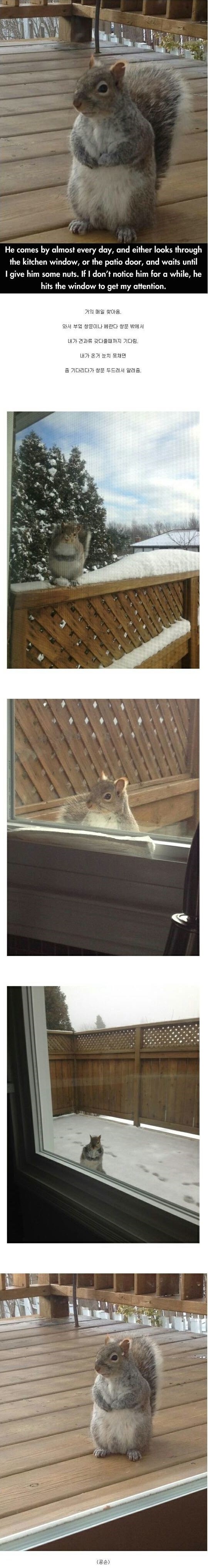 공손한 다람쥐.JPG | 인스티즈