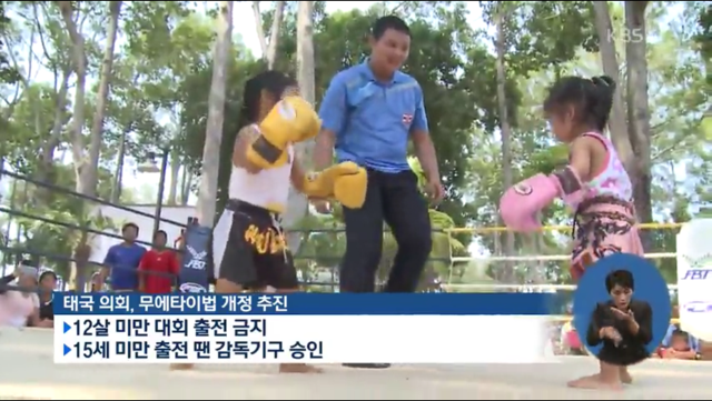 애들을 돈벌이로 경기에 내보낸다는 태국 (13살 소년 사망) | 인스티즈