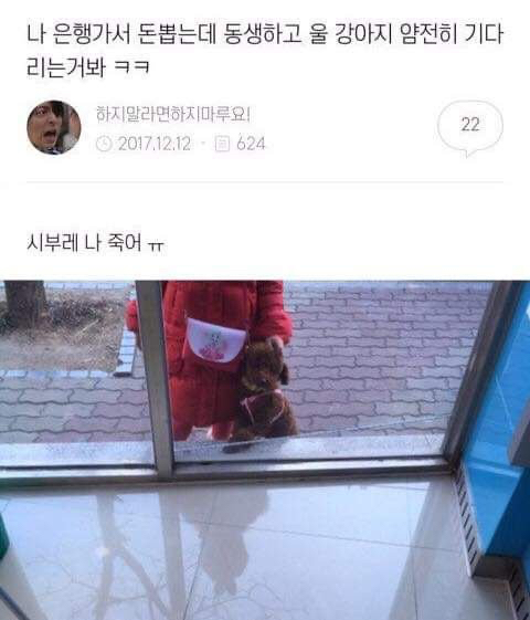 나 은행가서 돈 뽑는데 동생하고 울 강아지 얌전히 기다리는거봐ㅋㅋ | 인스티즈
