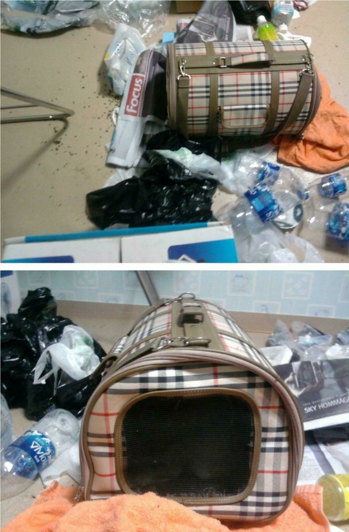 쓰레기통 모음.jpg | 인스티즈