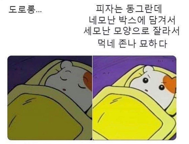 피자는 동그란데.. | 인스티즈
