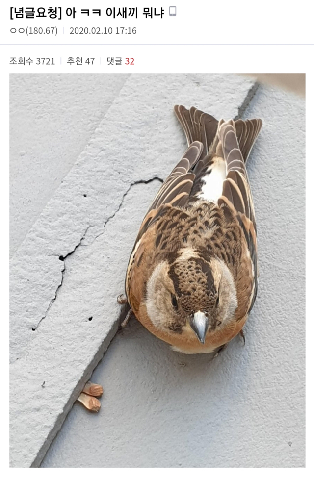 다이나믹 편의점 갤러리... | 인스티즈