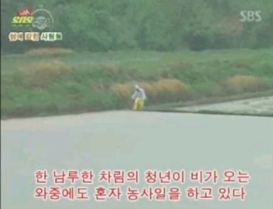 섬노예가 탈출하기 어려운 이유 | 인스티즈