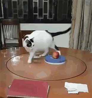 무한의 덫에 빠져버린 때껄룩들.gif | 인스티즈