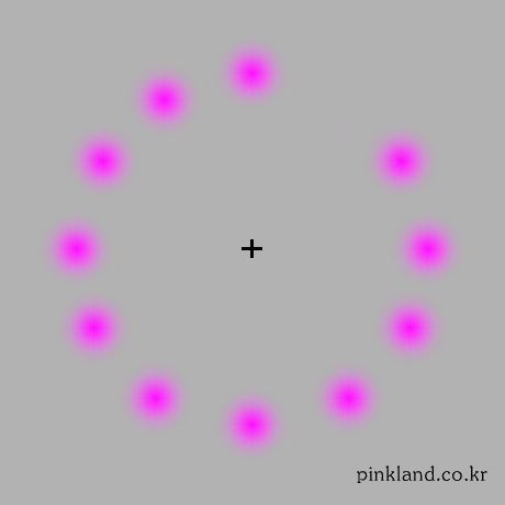 신기한 착시현상 | 인스티즈