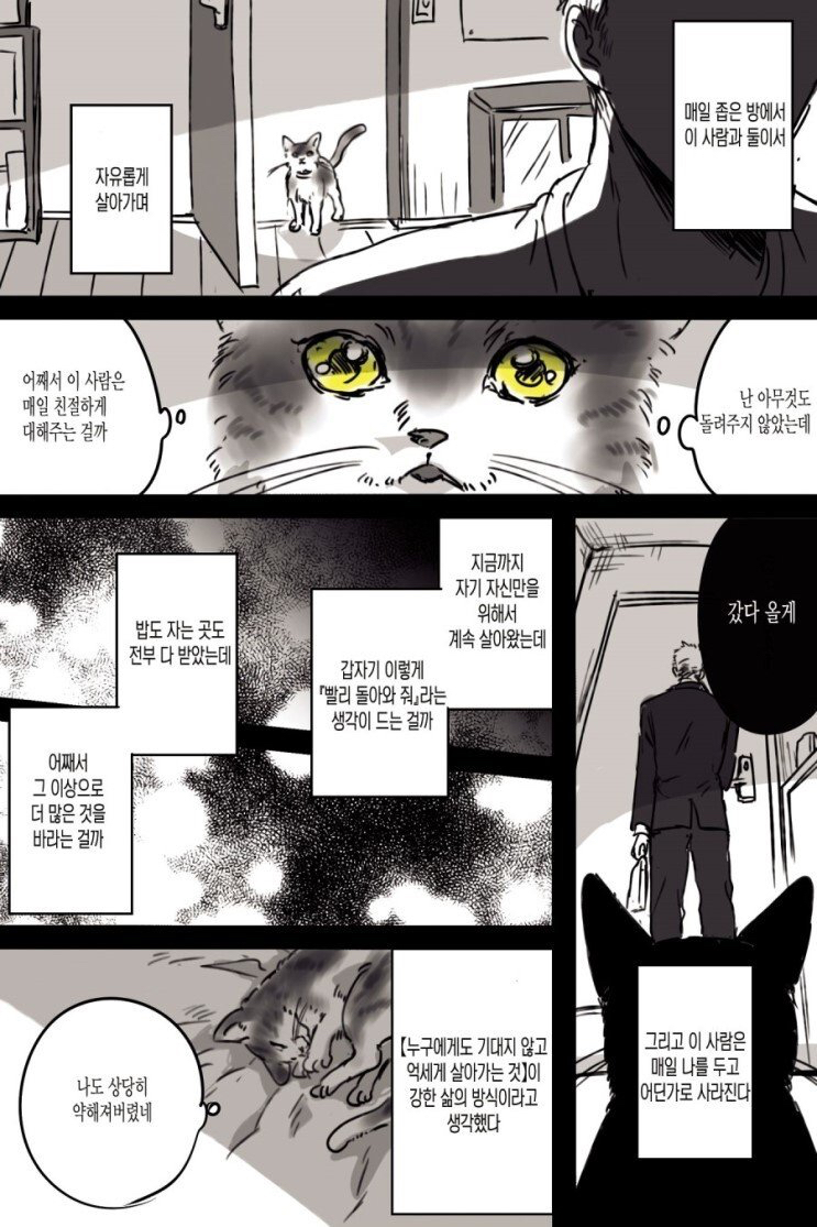 고양이와 집사.manhwa | 인스티즈
