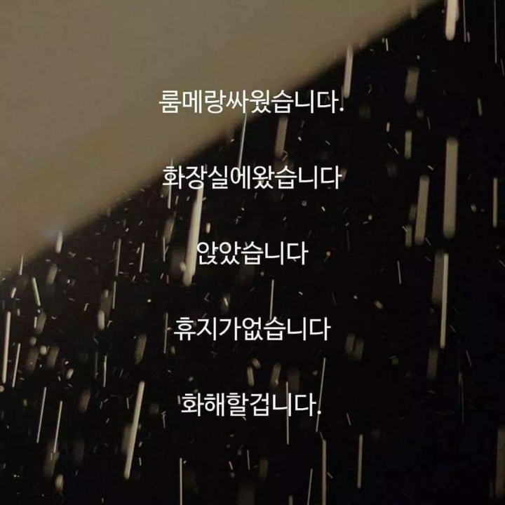 룸메랑 화해해야하는 이유 | 인스티즈