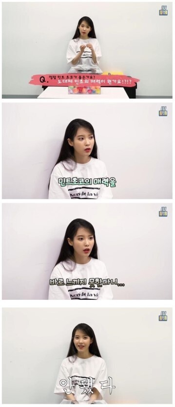 연예인 민트초코파vs반민초파 .jpg | 인스티즈