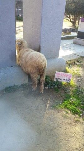 낀거 아니에용 ㅠㅠㅠ..jpg | 인스티즈