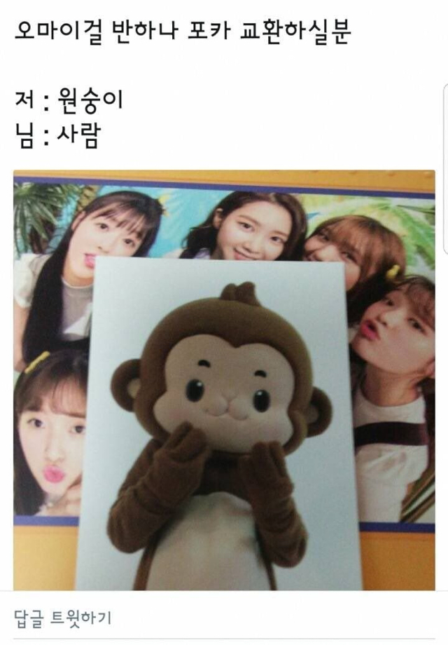 아이돌 포카 교환 레전드.jpg | 인스티즈