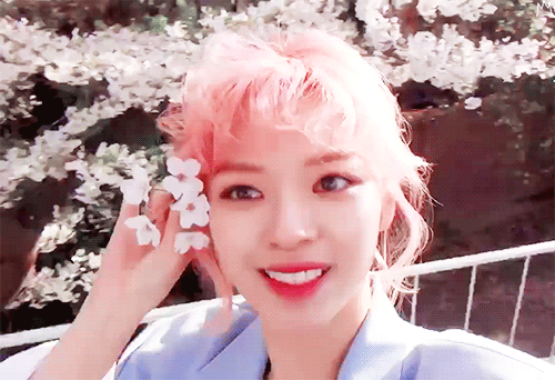 분홍색 머리 했던 아이돌들.jpgif | 인스티즈