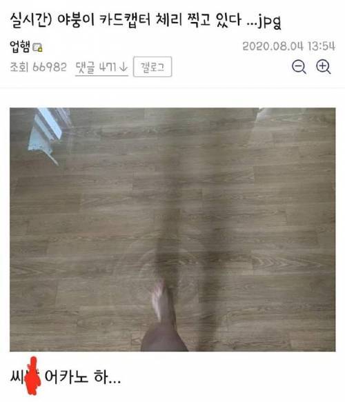 카드캡터체리 찍고있는 디씨인 | 인스티즈