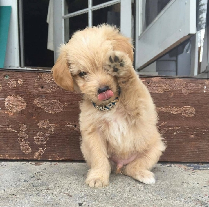 아기인절미 | 인스티즈