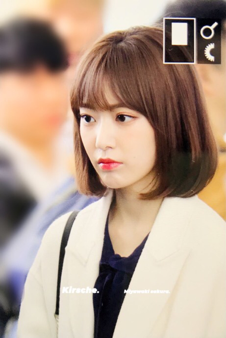 아이즈원 사쿠라 | 인스티즈