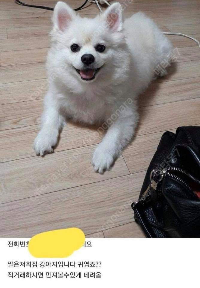 중고나라 직거래유도 | 인스티즈