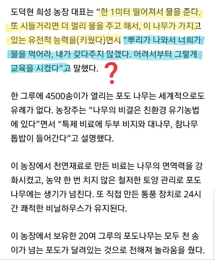 약한 포도는 살아남을 수 없다.jpg | 인스티즈