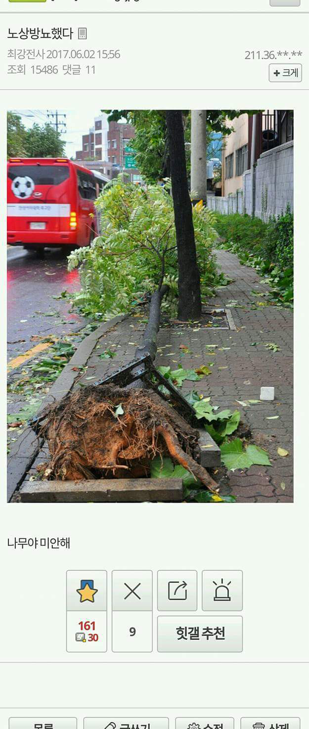 허언증 갤러리 올타임 레전드 모음.jpg | 인스티즈