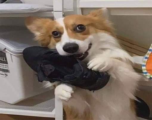 역지사지 | 인스티즈