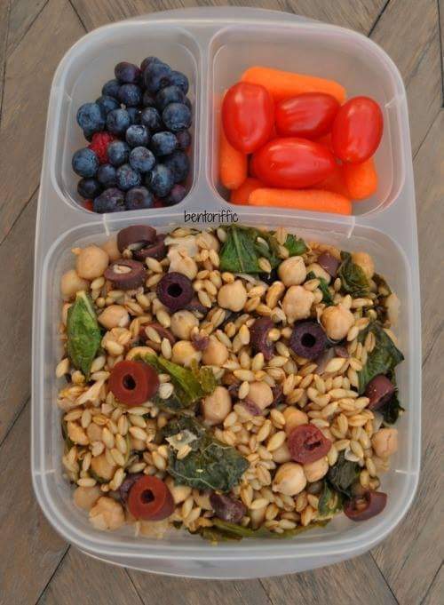 다이어터 도시락 | 인스티즈