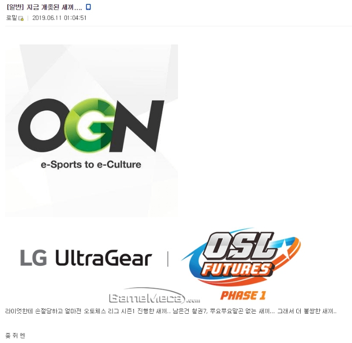 롤토체스 발표 이후 신난 오토체스 갤러리 유저들 | 인스티즈