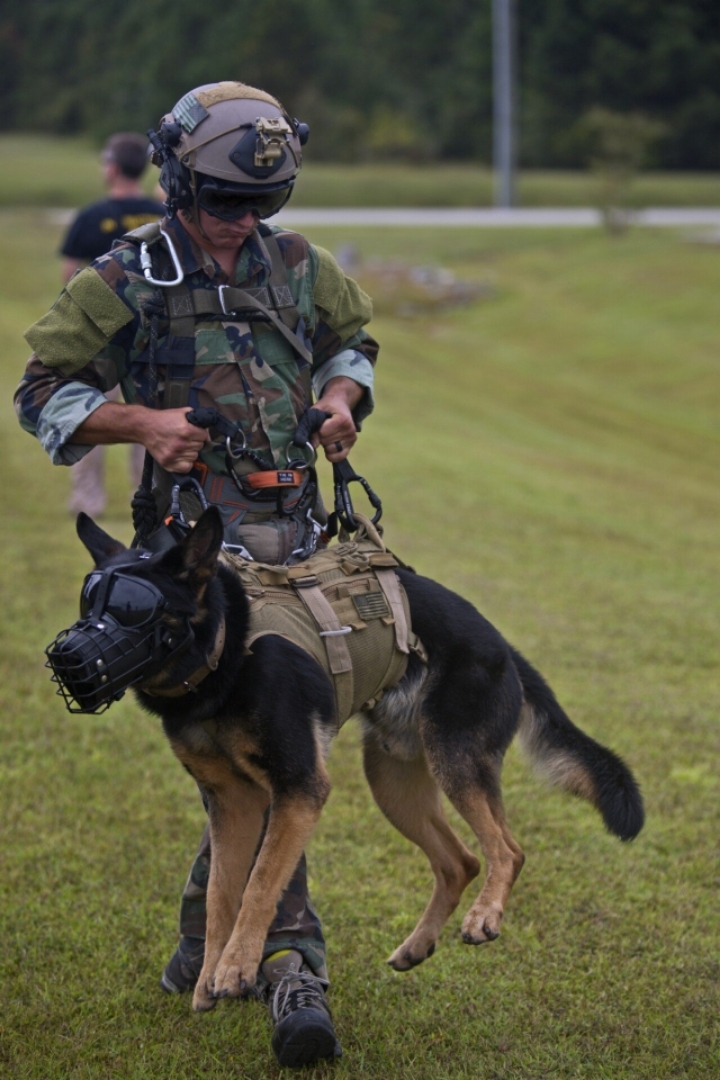 의외로 개들이 보급받는거 | 인스티즈